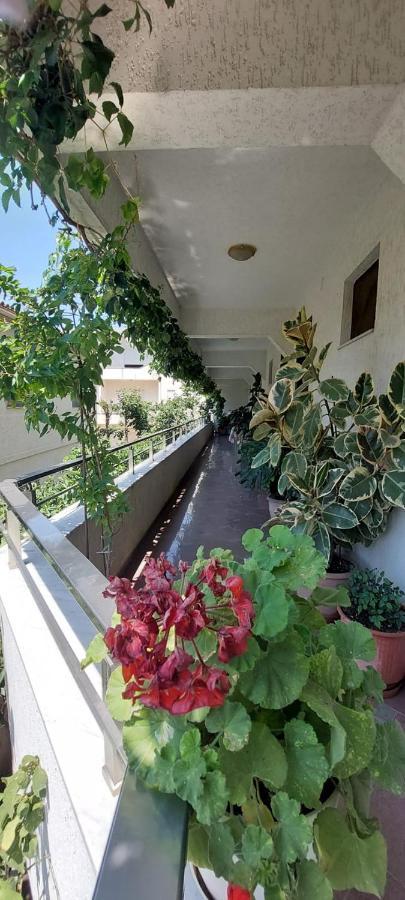 Villa Madani Dıraç Dış mekan fotoğraf
