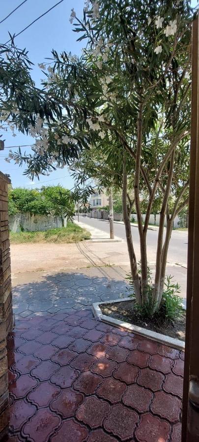 Villa Madani Dıraç Dış mekan fotoğraf